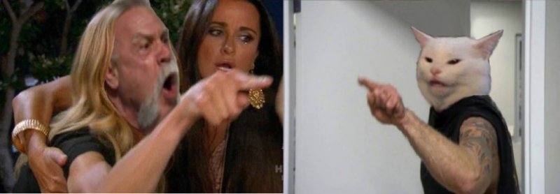 Кричащая баба и кот