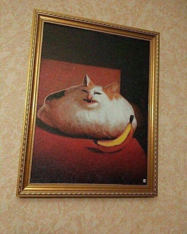 Кот с бананом картина