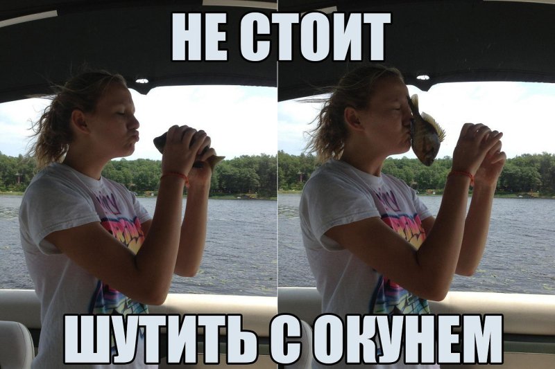 Окунь прикол