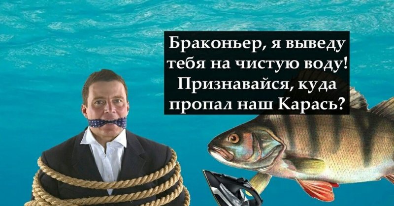 Окунь прикол