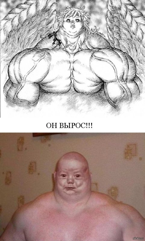 Известный Мем про кочка