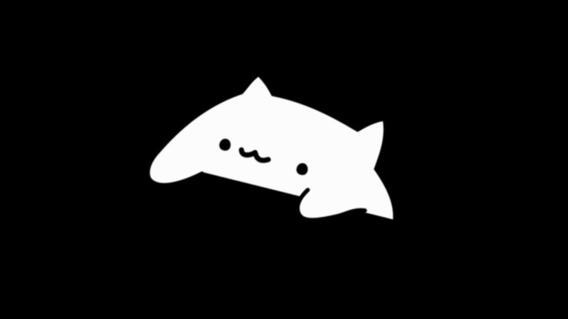 Котик на черном фоне