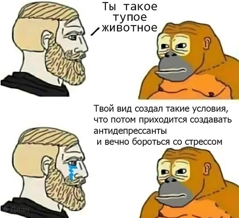 Ты такое тупое животное Мем