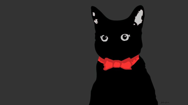 Чёрный кот арт
