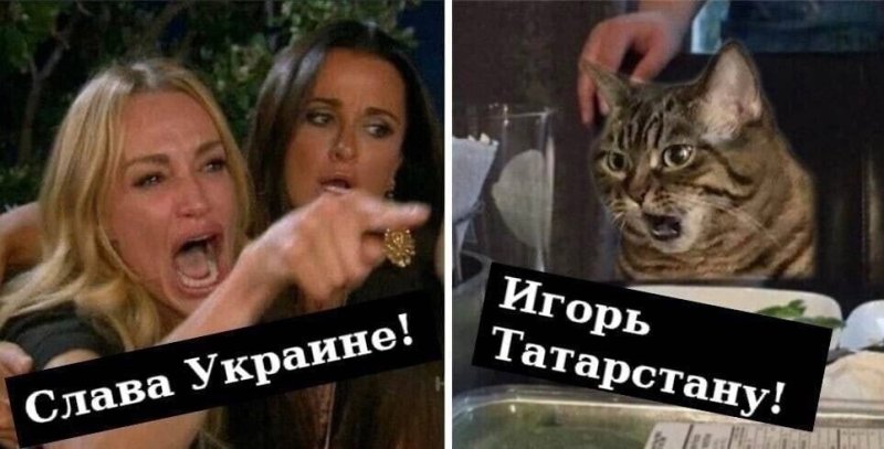 Мем женщина орет на кота