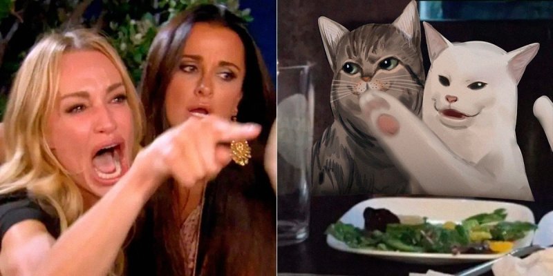 Девушка кричит на кота