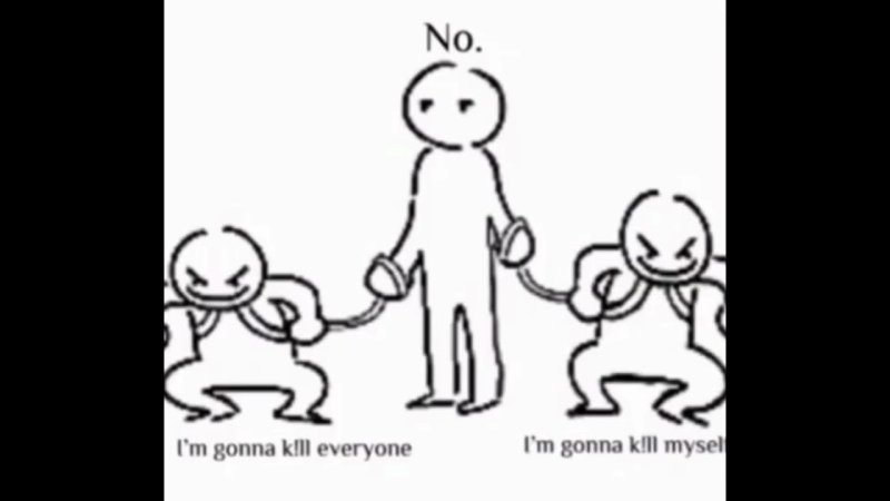 Меме держит на поводк