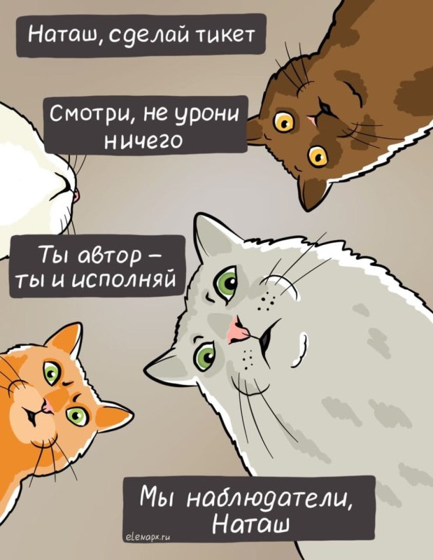 Мемы с котами и Наташей