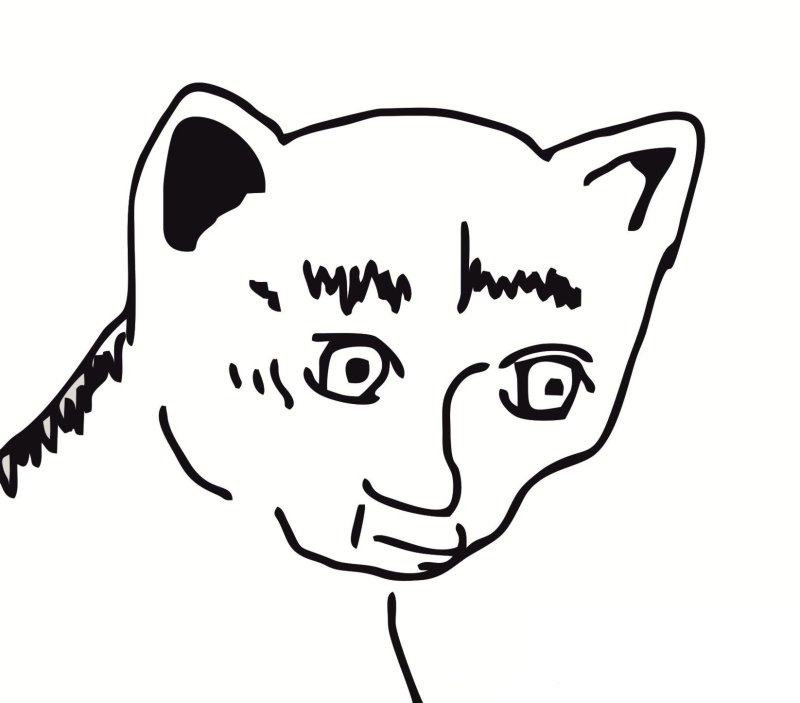 Белиссимо Мем кот