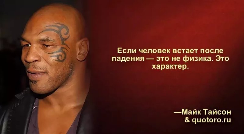 Высказывания майка Тайсона