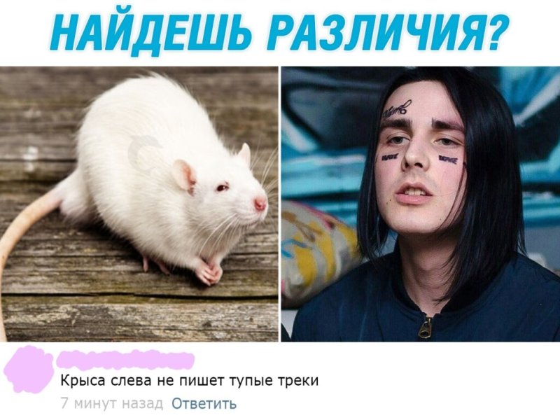 Девушка превращается в мышь