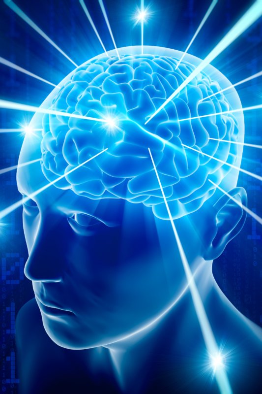 Мозг светится