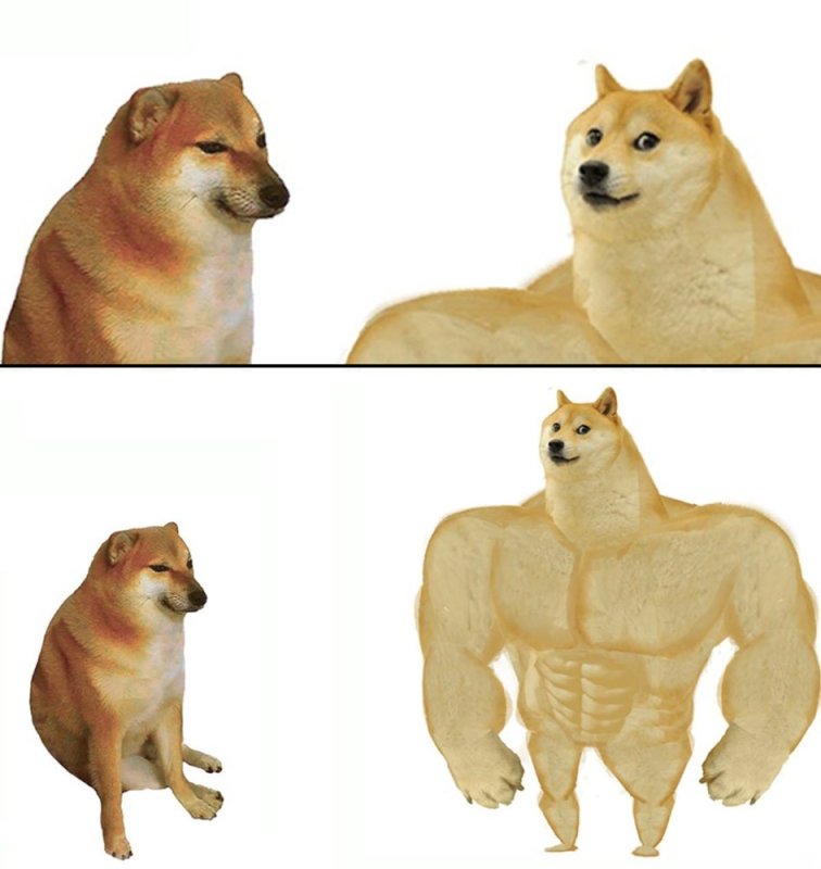 Сиба-ину Doge