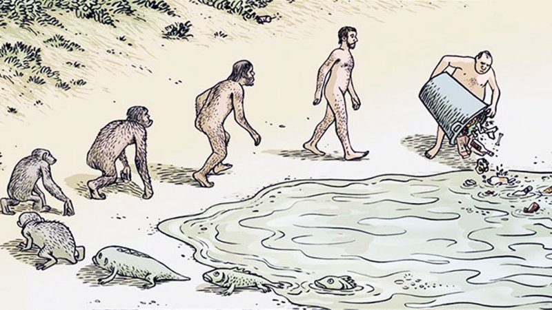 Эволюция человека из воды