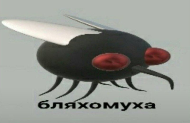 Бляха Муха