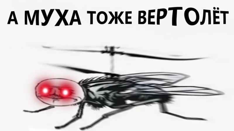 Муха вертолет