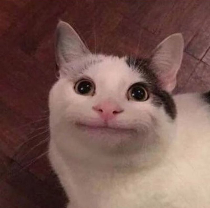 Упоротые коты