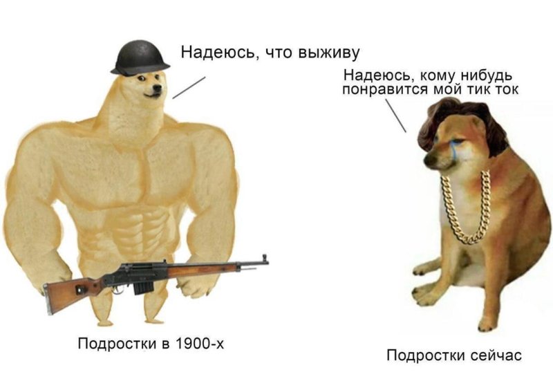 Сильный и слабый пес