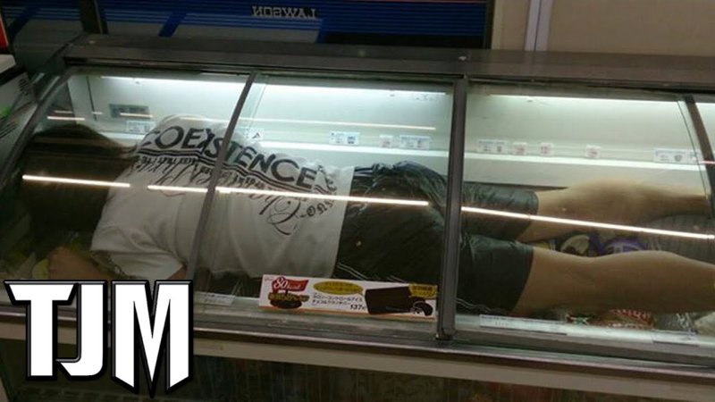 Спит в холодильнике