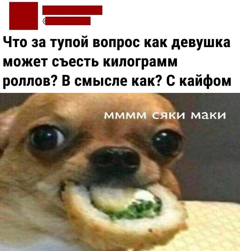 Мем собака с роллом