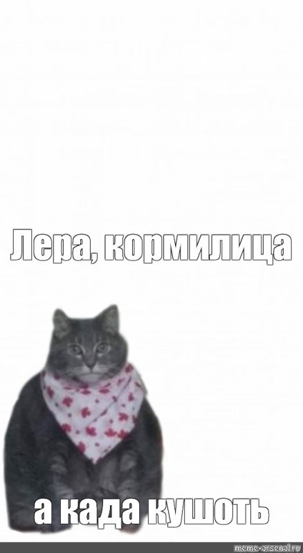 Мем толстый кот в слюнявчике