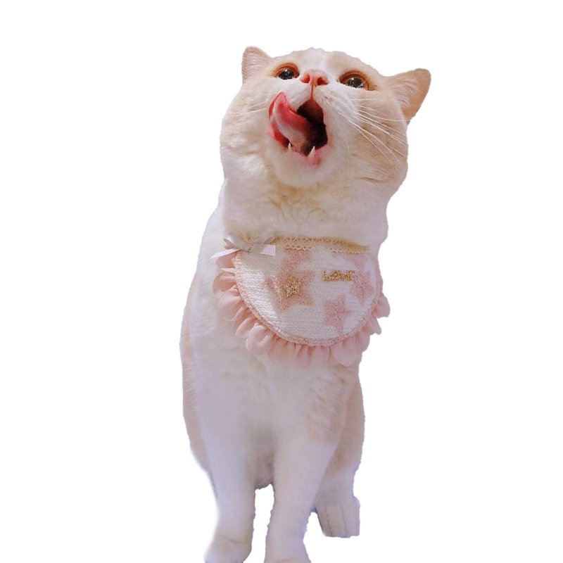 Толстый кот в слюнявчике