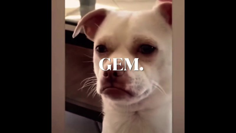 Подозревака Мем