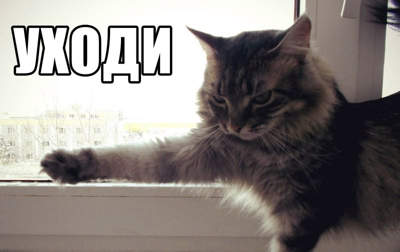 Котик уходи