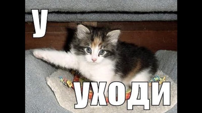 Быстренько спать