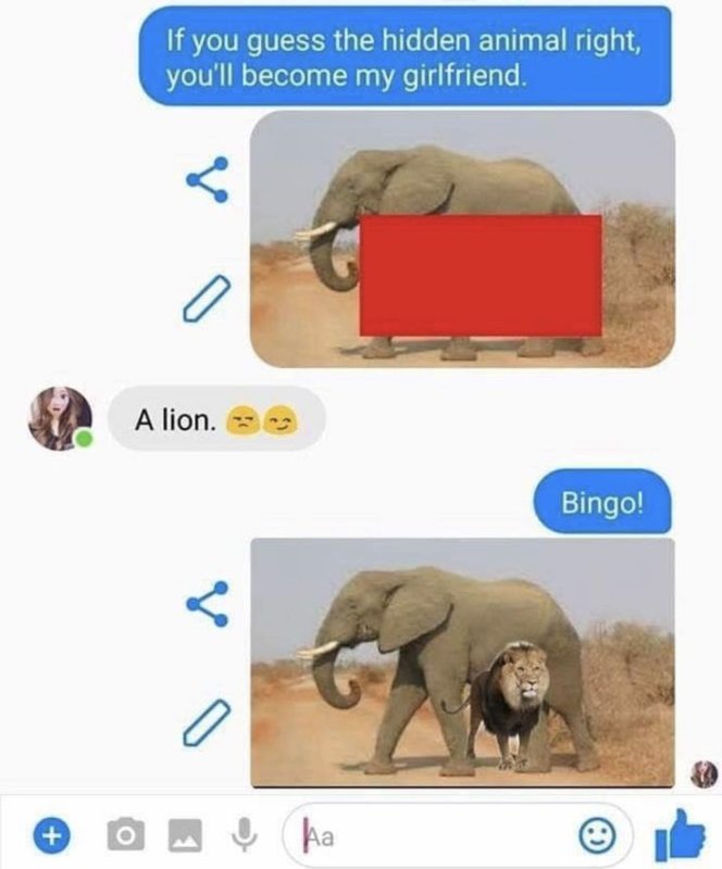 Если угадаешь животное на картинке