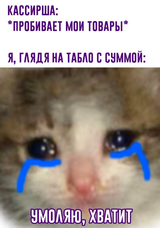 Кот плачет