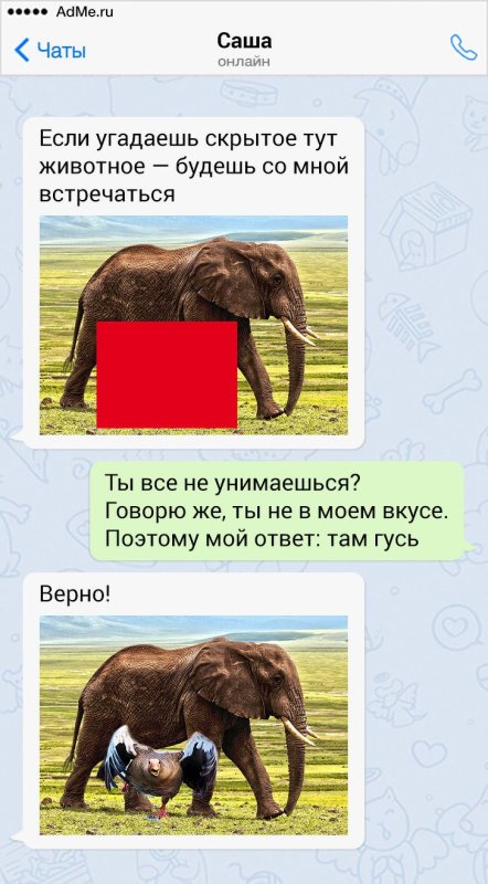 Угадай животное