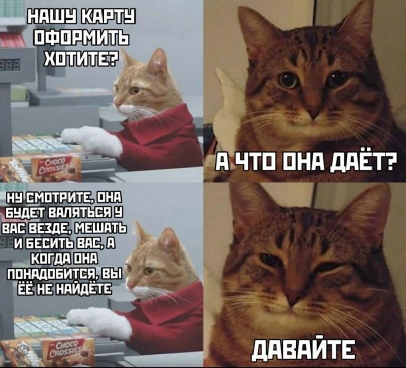 Мемы с кокотам