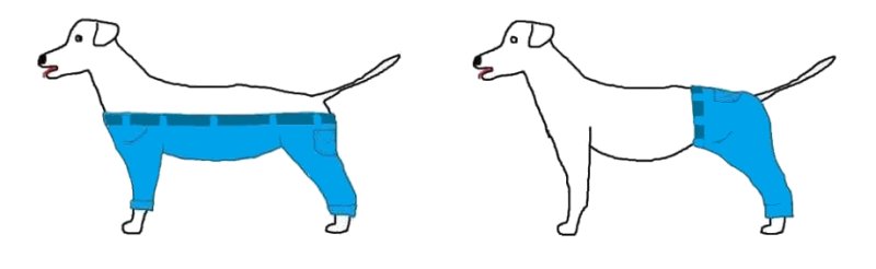 Собака в штанах Мем