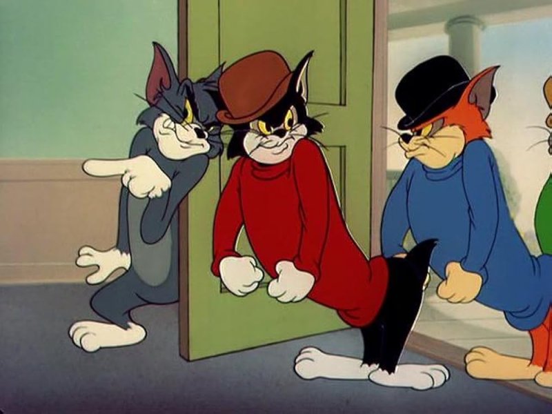 Кот из Тома и Джерри