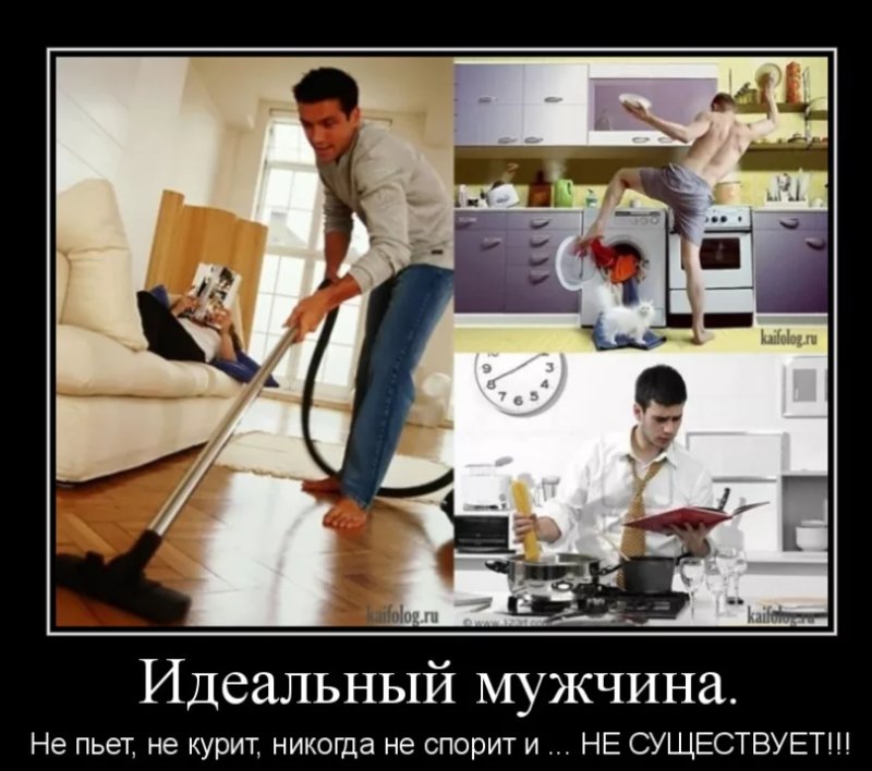 Идеальный муж