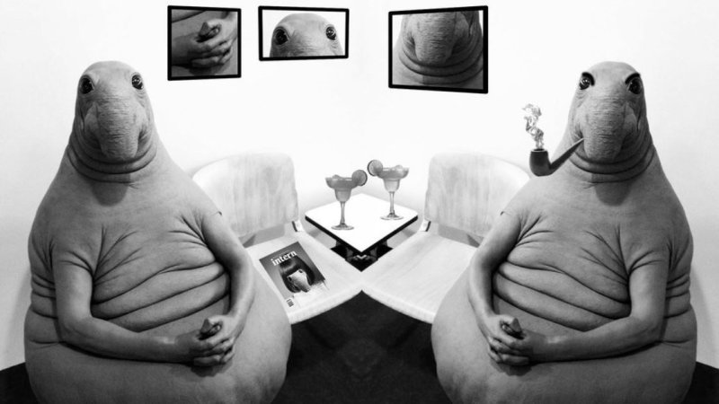 Ждун картинки прикольные