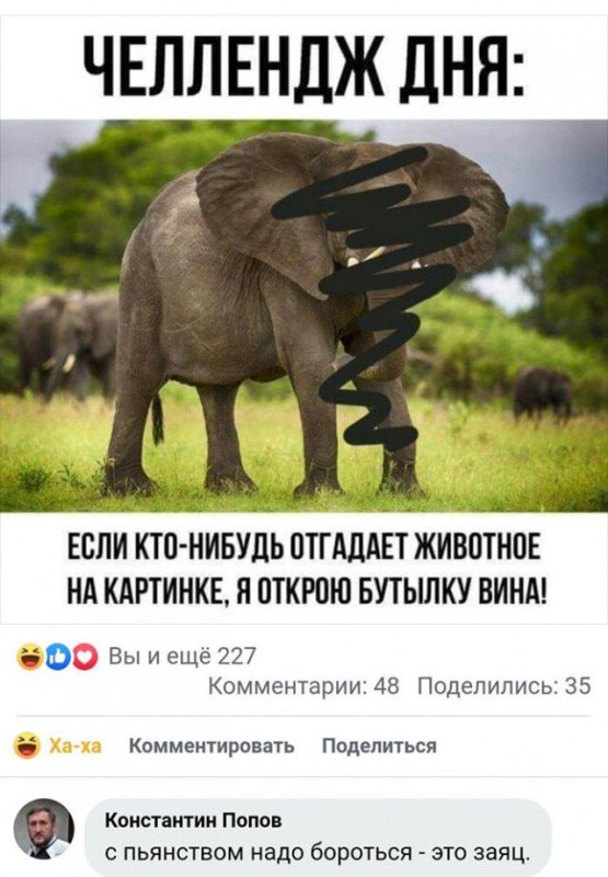 Если угадаешь животное