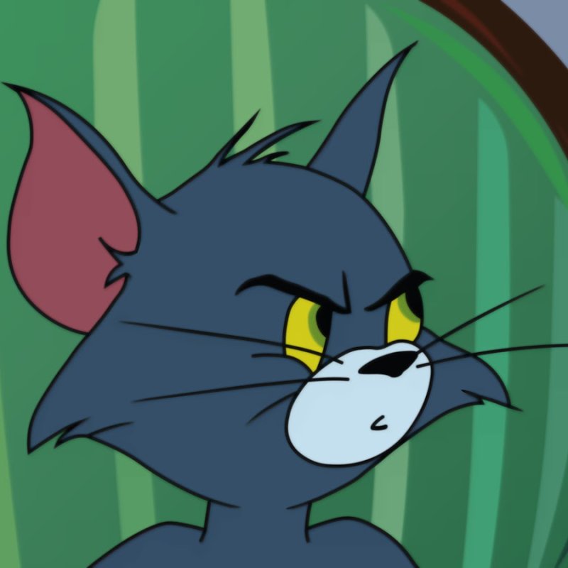 Бутч из том и Джерри