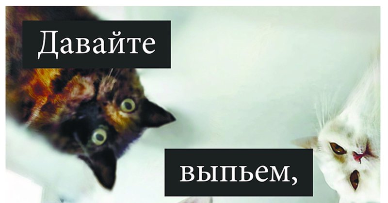 Поздравление с днём рождения Наташе с котиками