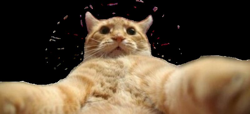 Джонни Кэтсвилл оригинал