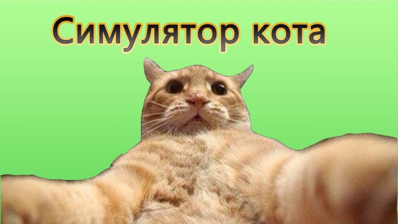 Джонни Кэтсвилл Мем