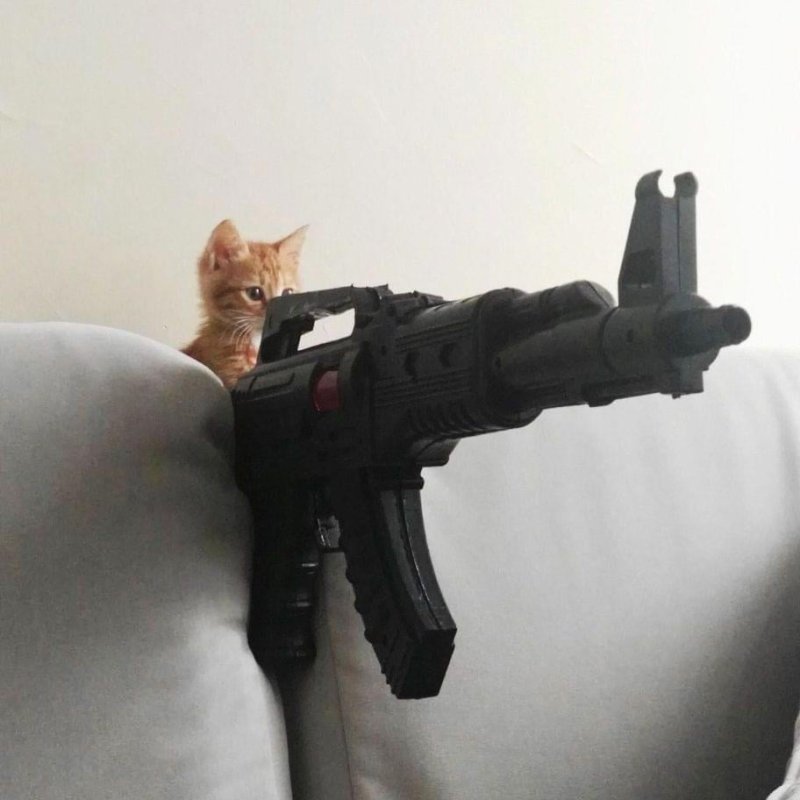 Приколы про русичку