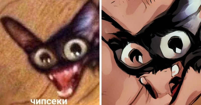 Коты чипсики