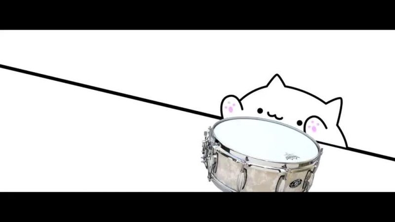 Кот играет на барабанах