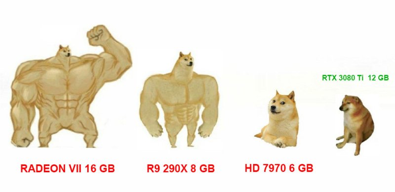 Doge мускулистый