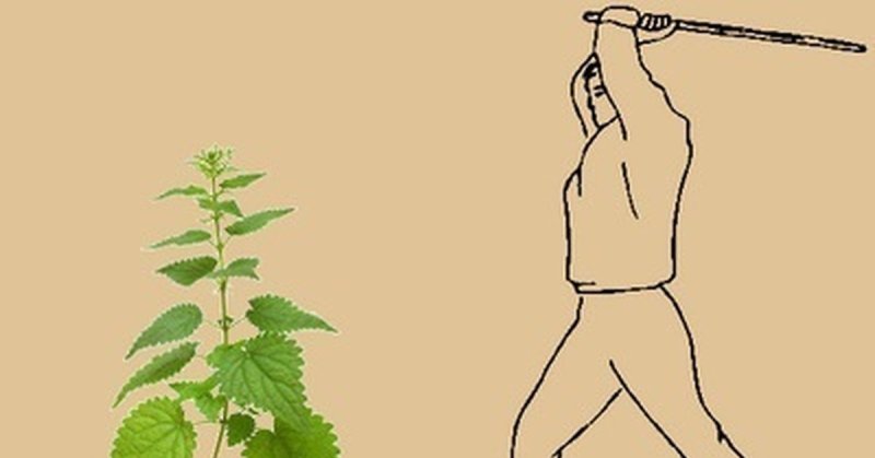 Палка и крапива