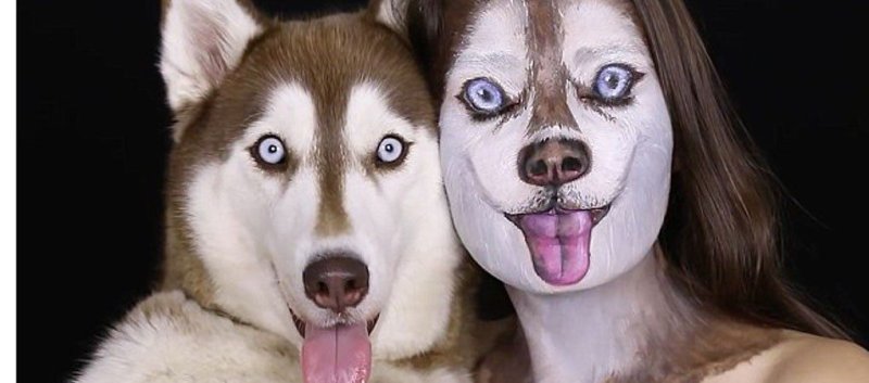 Хаски морда