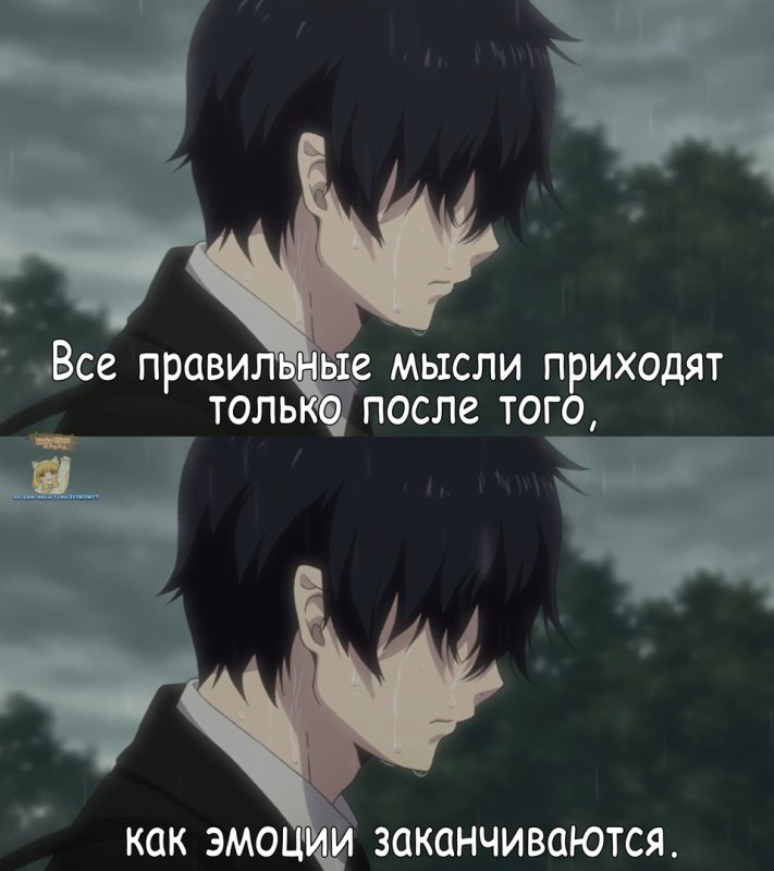 Мемы из аниме синий экзорцист