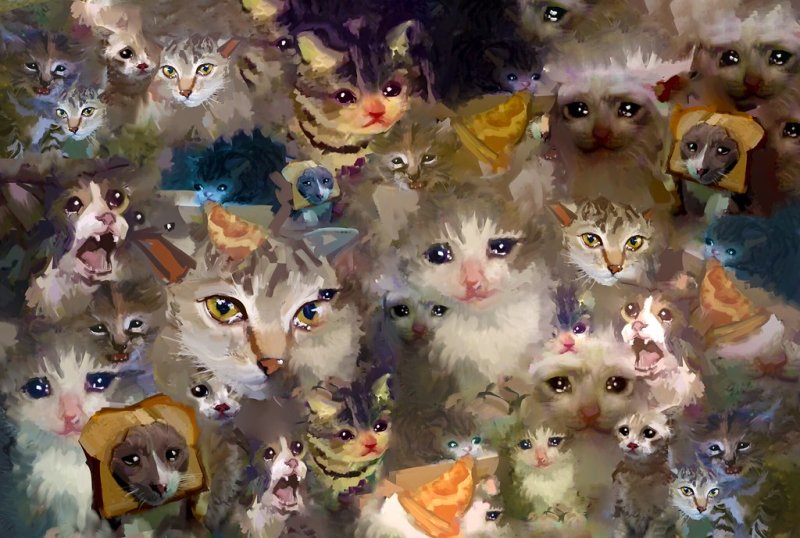 Котики коллаж